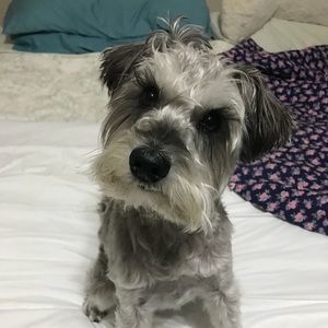 Meet your Posher, April